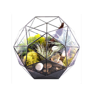 Geometric Glass Terrariums Decoration Dome Terrariums for Plan